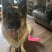 Jamie Simms - Facebook