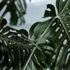 Jamie Simoneaux - @jamie.simoneaux - TikTok