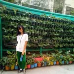 Jamie Anne Sison - @jamieannesison - Instagram