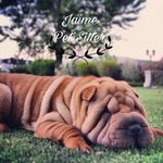 Jaime Pet Sitter 🐶🐾 - @jaimepetsitter - Instagram