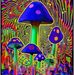 Jamie Sloat - Facebook