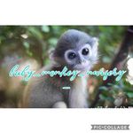 jamie snell - @cheeky_monkey_nursery_ - Instagram