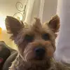 Jaime Soto - @jaime__soto - TikTok