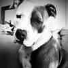 Jamie Spradley - @spradley803 - TikTok