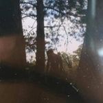 @jamie_stack_ - Instagram