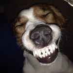 Jamie Stackhouse - @jstack21 - Instagram