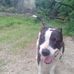 Jamie Stanton - Facebook