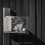 Jamie E Staten - @jscrazycreations2019 - Instagram