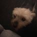 Jamie Stephen - Facebook