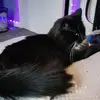jamiestoneman375 - @jamiestoneman375 - TikTok