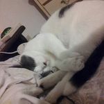 Jamey Strawser Jr. - @strawserjr.jamey - Instagram