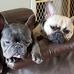 Jamie Strube - Facebook