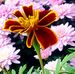 Jamie Studebaker - Facebook