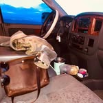 Jamie Stumpf - @jlynnstumpf - Instagram