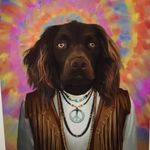 Jamie Sumner - @banjosride - Instagram