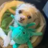 Jamie Sumner - @jamie.sumner3 - TikTok
