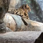 Jamie swope - @jamtswo - Instagram