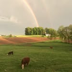 Jamie Swope - Above & Below - @above_and_below_photos - Instagram