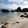 Jamie Tadlock801 - @jamietadlock - TikTok