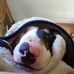 Jamie Tadlock - Facebook