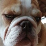 Jamie Tasker - @jdog_tasker_ - Instagram