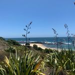 Jamie Teague - @jimmyfrisco_nz - Instagram