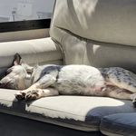 Jamie Teague - @teagues_on_wheels - Instagram