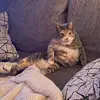 Jamie - @jamieteetsel - TikTok
