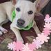 Jamie Thacker - Facebook