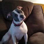jamie Thacker - @jami.e0415 - Instagram