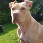 Jamie thackeray - @thackerayjamie - Instagram