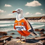 Jamie Toal - @jamiet1991 - Instagram