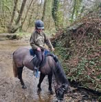 Jamie Tonkin - Facebook