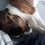 Jamie tonkin - @tonkin_jamie - Instagram