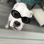 Jamie Tosh Sammarco - @jamietoshsammarco - Instagram