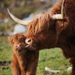 Jamie Tracey - @jamie_tracey.nknwg - Instagram