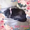 jamietripp187 - @jamietripp187 - TikTok