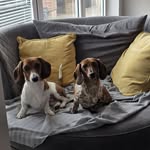 Jamie Tuck - @jamie.t.1990 - Instagram