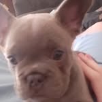 Jamie Tudor - @jamie.tudor.796 - Instagram