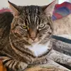 jamie twigg1234 - @jamietwigg1234 - TikTok