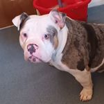 Jamie Twigg - @jamie.twigg.52056 - Instagram