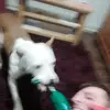 jamietwigg136 - @jamietwigg587 - TikTok