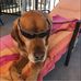 Jamie Watt - Facebook