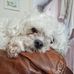 Jamie Watt - Facebook