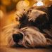 Jamie Watt - Facebook