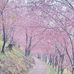 Jamie Wei - Facebook
