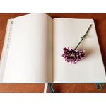 Jamie Wetzel - @journalingwithjamie - Instagram