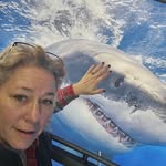 Jamie Wilber - @hoberssc - Instagram