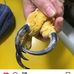 James Willman - Facebook