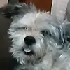 jaime wren - @jaime.wren - TikTok